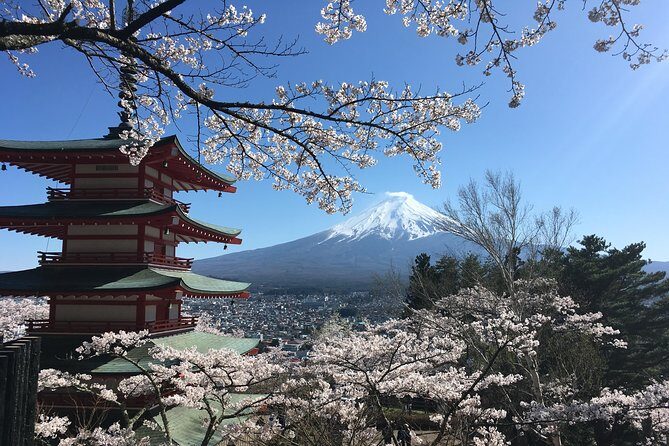 Private Car Mt Fuji and Gotemba Outlet in One Day from Tokyo - Mt. Fuji Ropeway: Worth It When the Queue Plays Nice