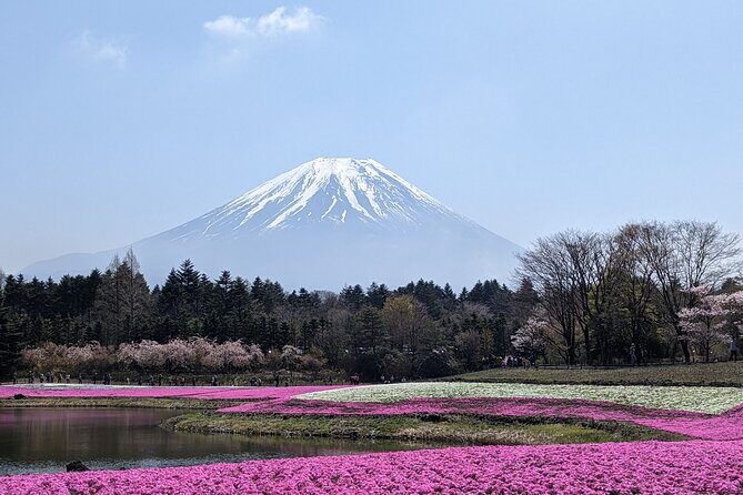 Private Car Mt Fuji and Gotemba Outlet in One Day from Tokyo - Oishi Hana Terrace and Oishi Park: Lakeside Views Plus a Food Break