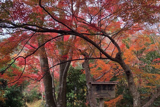 Private car tour in Kyoto (up to 4) - Stop 2: Sanjūsangen-dō’s 1,000 Statues in an Hour