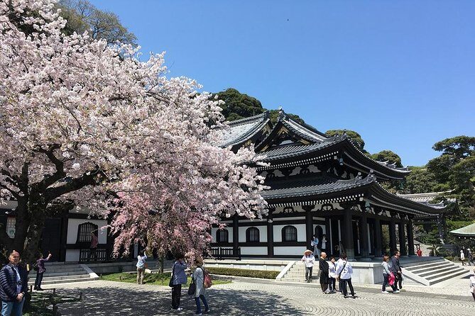 Private Car Tour to see Highlights of Kamakura, Enoshima, Yokohama from Tokyo - Hasedera Temple: Flowers by Season and a Huge Kannon Statue