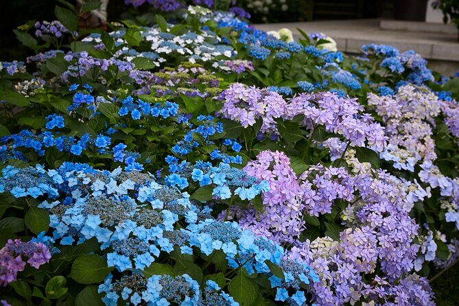 Private Car Tour to see Highlights of Kamakura, Enoshima, Yokohama from Tokyo - Kencho-ji and Engaku-ji: Zen Temples With Real-World Extras