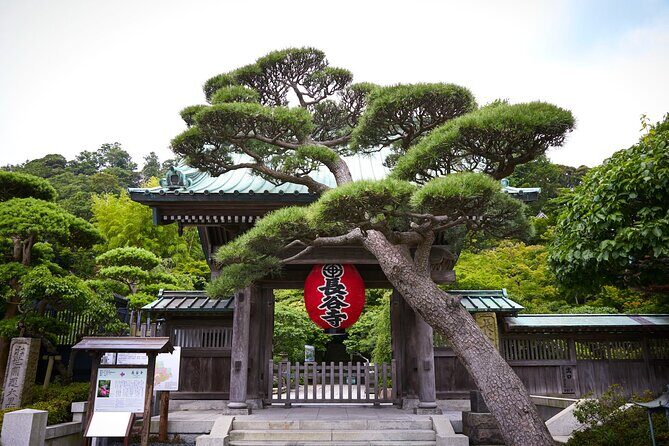 Private Car Tour to see Highlights of Kamakura, Enoshima, Yokohama from Tokyo - Kotoku-in: The Great Buddha and the Fun Detail of Entering Inside