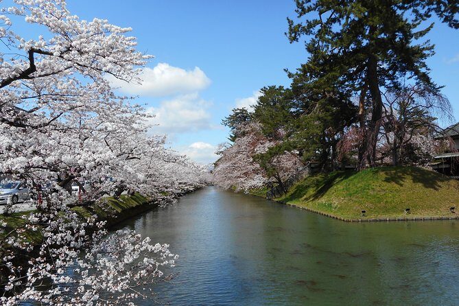 Private Cherry Blossom Tour in Hirosaki with a Local Guide - Hirosaki Cherry Blossom Festival season: tunnels, moat boats, and night illuminations