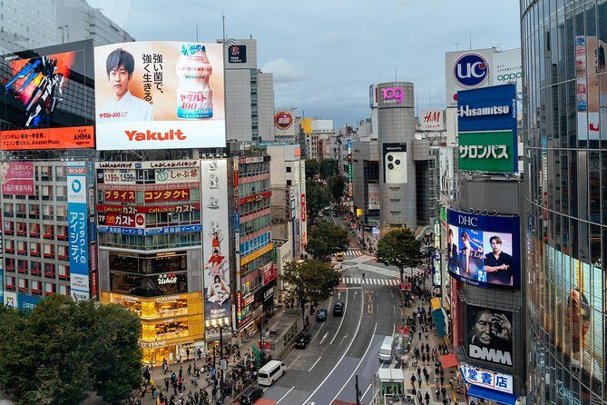 Private City Kickstart Tour: Tokyo - Price and Value: Is $89.08 Worth It?