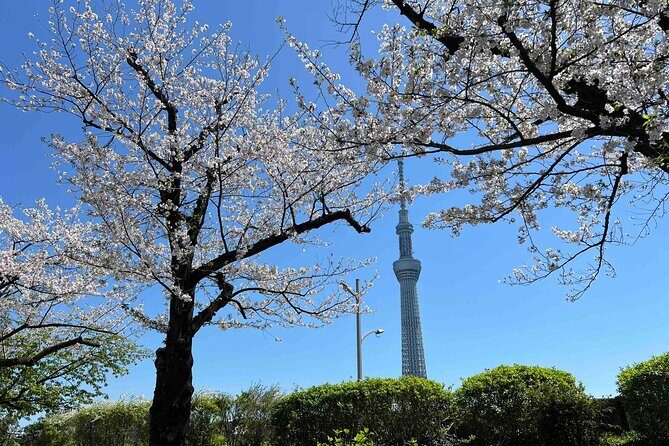 Private Custom Tour in Tokyo with a Bilingual Japanese Guide - Key things that make this Tokyo tour feel personal
