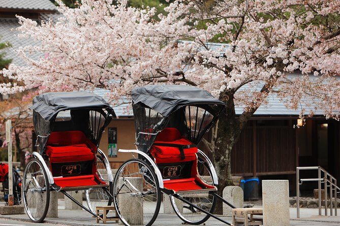 Private Custom Tour: Kyoto in One Day - Key things I’d watch for before you book