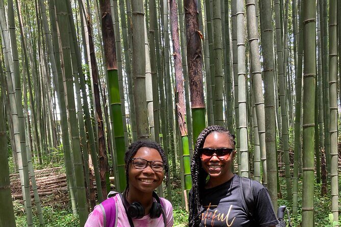 Private Custom Tour: Kyoto in One Day - Stop 4: Tenryu-ji and the calm of a strolling garden