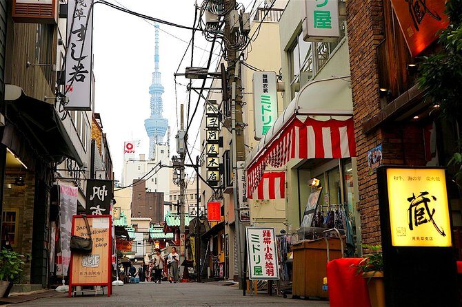 Private Customizable Walking Tour of Tokyo - Akihabara: anime, games, electronics, and sensory overload