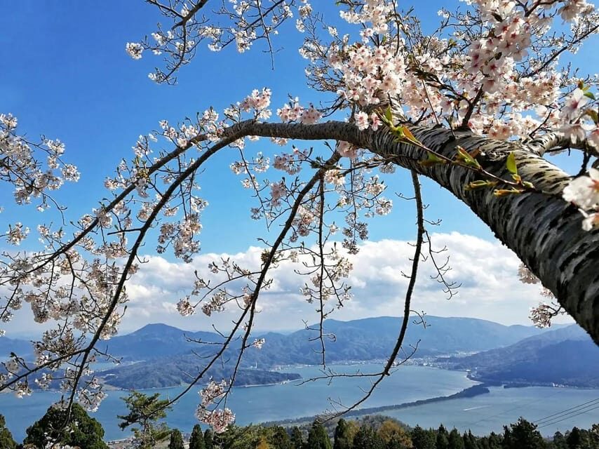 Private Customized Tour in Amanohashidate and Ine-cho area - Driver Language and the No-Guide Setup: Plan Like a Pro