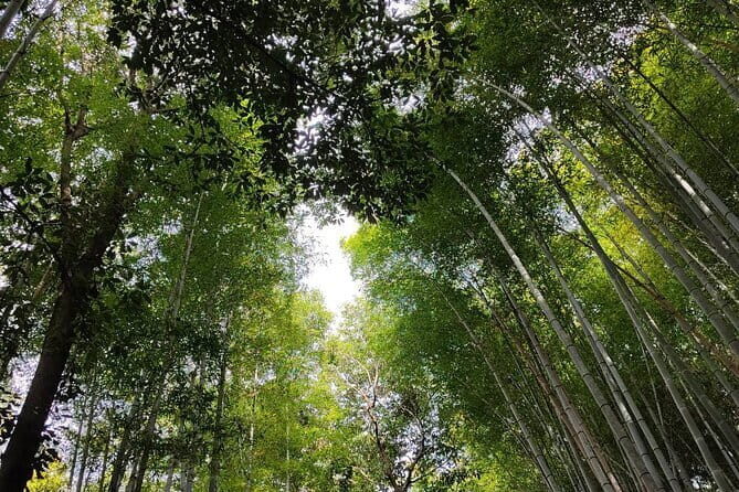 Private Customized Walking Tour in Kyoto - Price and value: what $130.06 buys you in Kyoto
