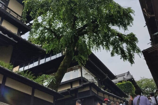 Private Customized Walking Tour in Kyoto - What the guide actually adds: explanations, tailoring, and real-world help