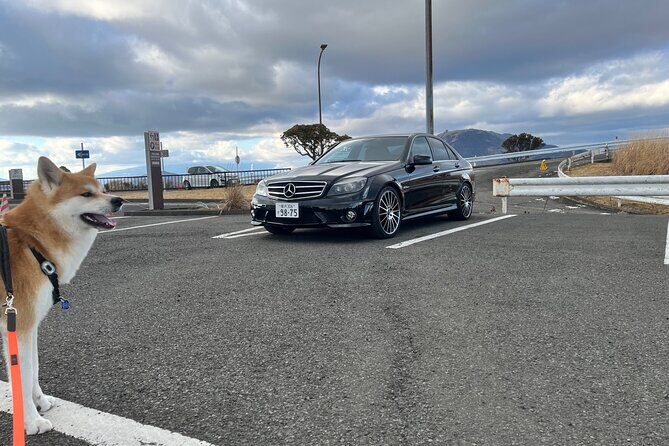Private Daikoku Parking Area, Hakone turn Pike, Umihotaru Tours - Why Daikoku Parking Area Is More Than a Photo Stop
