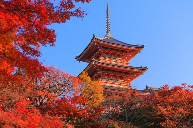 Private Day Tour in Osaka and Kyoto with charter car - Route choices explained: A, B, C, and the Kobe option D