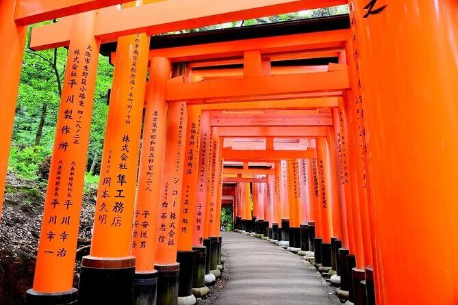 Private Day Tour in Osaka and Kyoto with charter car - Fushimi Inari Shrine: torii gates and the value of pacing