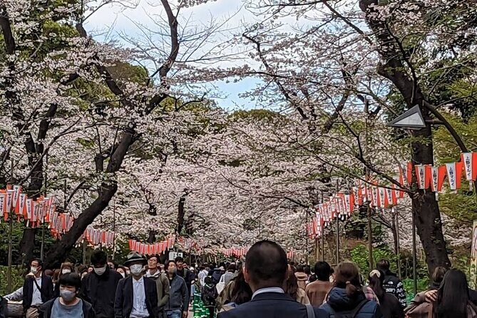 Private Day Tour In Tokyo with a Native English Speaker - Asakusa and Sensoji: traditional Tokyo, straight to the point