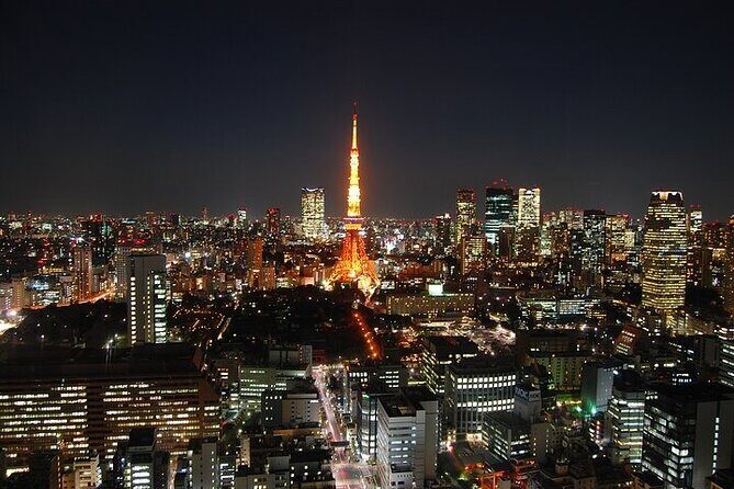 Private Day Tour in Tokyo with Government-Licensed Guide - Shibuya Sky and Shibuya Crossing: pay for the view, then watch the choreography
