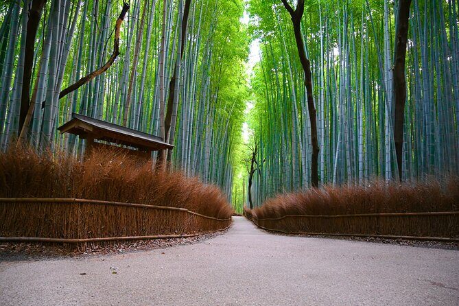 Private Day Tour - Kyoto Arashiyama & Bamboo Forest Perfect Tour! - Quick Hits Before You Go