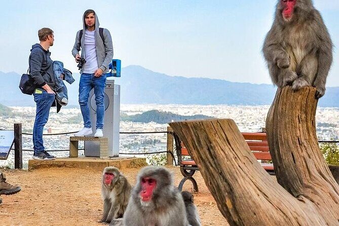Private Day Tour - Kyoto Arashiyama & Bamboo Forest Perfect Tour! - Tenryu-ji Zen Temple: The One-Hour Quality Stop