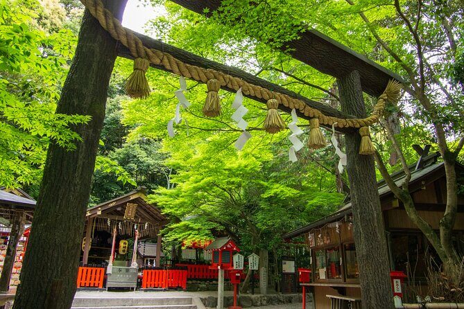 Private Day Tour - Kyoto Arashiyama & Bamboo Forest Perfect Tour! - Monkey Park Iwatayama: Wild Monkeys and Big Views (About 1 hr 20)