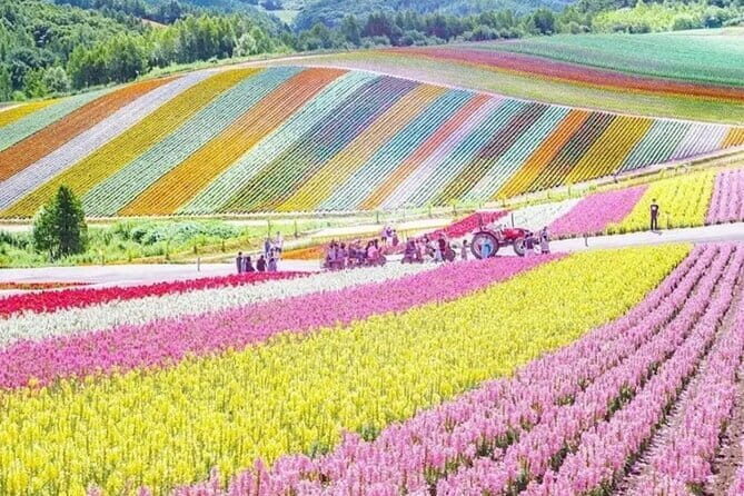 Private Day Tour to Hokkaido Noboribetsu and Lake Toya by Car - Stop 4: Usuzan Ropeway vs Showashinzan Bear Ranch