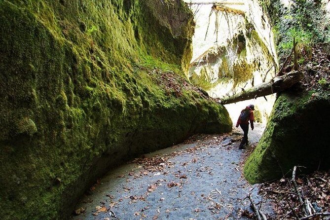Private Day Trip of Lake Shikotsu and Moss Canyon - Key highlights you’ll care about