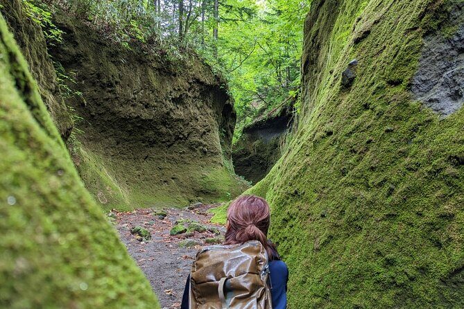 Private Day Trip of Lake Shikotsu and Moss Canyon - From Sapporo to Lake Shikotsu: easy start, free scenic payoff