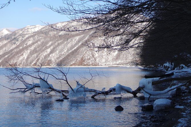 Private Day Trip of Lake Shikotsu and Moss Canyon - A private guide makes it feel like Hokkaido, not a checklist