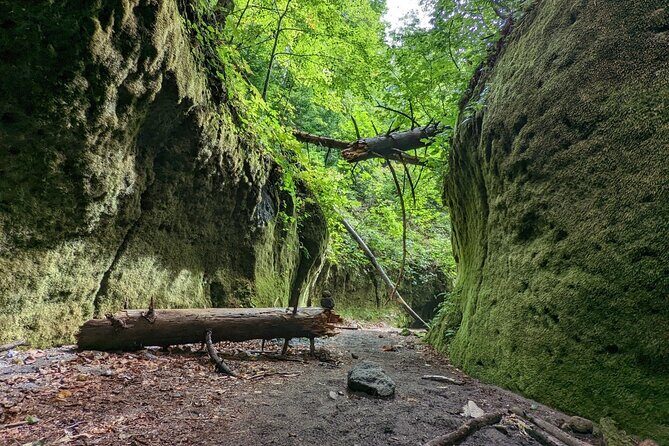 Private Day Trip of Lake Shikotsu and Moss Canyon - Snacks, tea, and the lunch gap you should plan for