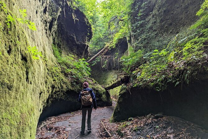 Private Day Trip of Lake Shikotsu and Moss Canyon - Quick, practical travel notes before you go