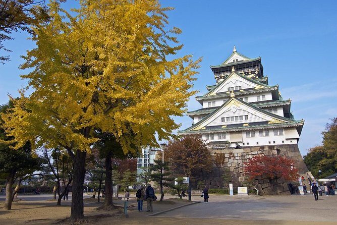 Private Departure Transfer: Osaka City to Osaka Itami Airport - The ride itself: ~30 minutes to 1 hour, by your schedule