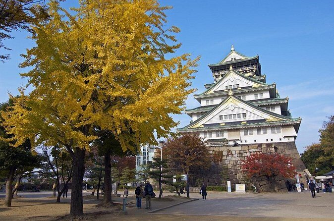 Private Departure Transfer: Osaka City to Osaka Itami Airport - Luggage limits: know them before you overpack