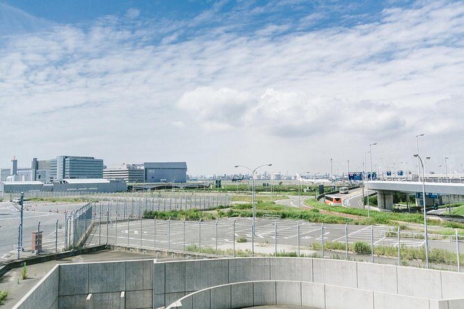 Private Departure Transfer : Tokyo Disney to Haneda International Airport - Price for a Group (and when this transfer is a smart spend)