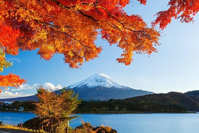 Private Fuji Full-day Car Tour with Hotel Pickup -Local Guide - Two shrines: Arakura’s view and Kitaguchi Hongu Fuji Sengen Jinja’s tradition