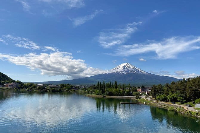 Private Fuji Half-day Car Tour with Hotel Pickup and Local Guide - Fujiyama Beer Harvest Terrace: open-air drinks with Fuji views