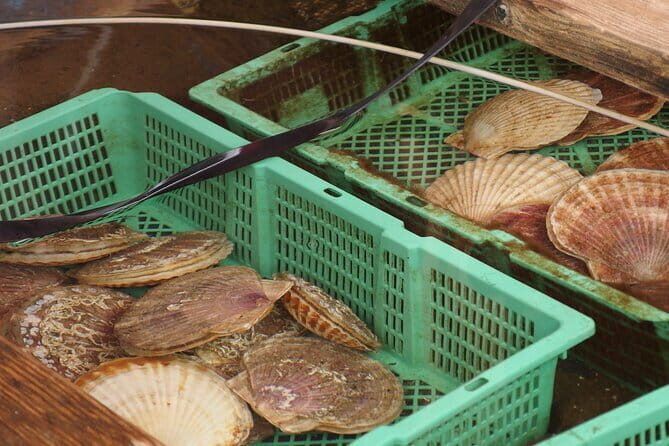 Private Full Day Guided Tour In Hakodate - Hakodate Morning Market: seafood you can actually plan around