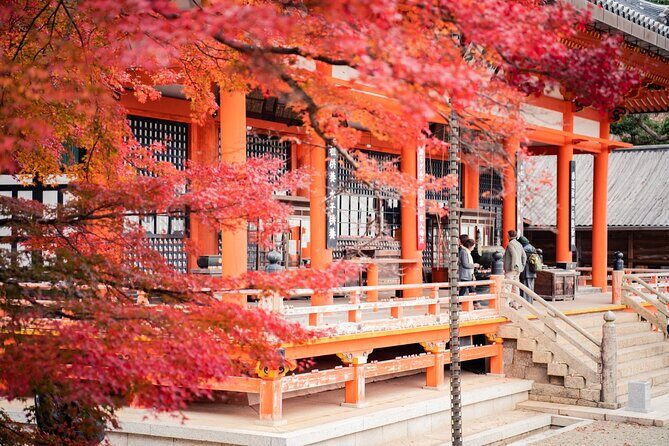 Private Full-Day Kamakura-Enoshima Tour with Bilingual Driver - Door-to-door pickup: the comfort factor that actually matters