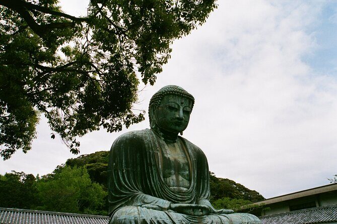 Private Full-Day Kamakura-Enoshima Tour with Bilingual Driver - Your driver: bilingual, friendly, and good at time management