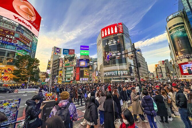 Private Full-day Tokyo Walking Subway Tour by Japan Gray Line - Key highlights to know before you go
