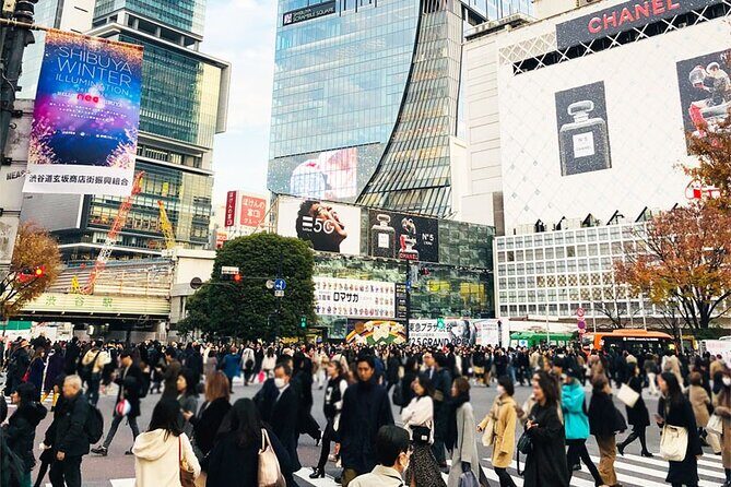 Private Full-day Tokyo Walking Subway Tour by Japan Gray Line - The guide is the whole point: navigation, pace, and real help