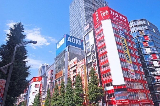 Private Full-Day Tour of Tokyo with Hotel Pickup - Customization options: Tokyo highlights and detours you’ll thank yourself for