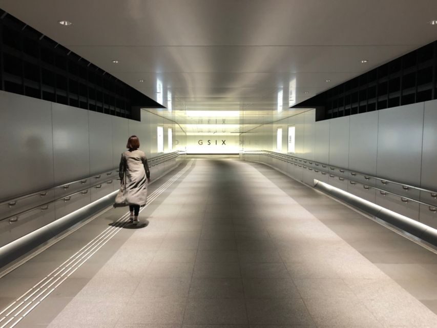 Private Ginza Architecture Tour - Private group pacing and the English guide factor