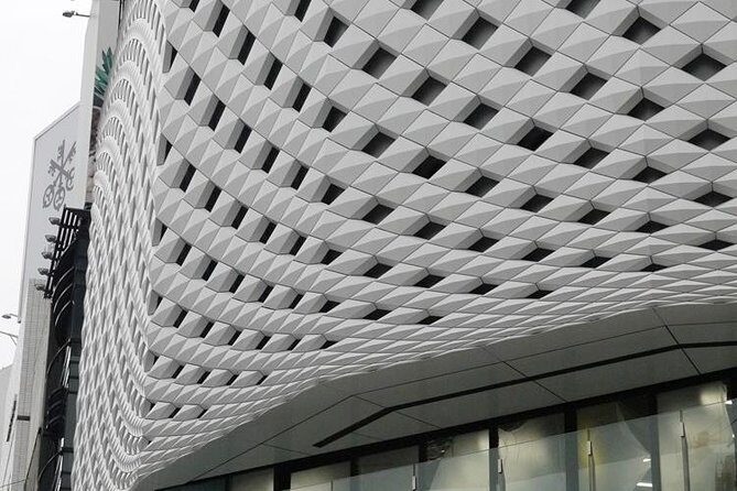 Private Ginza Architecture Walking Tour - Who should book this Ginza architecture tour