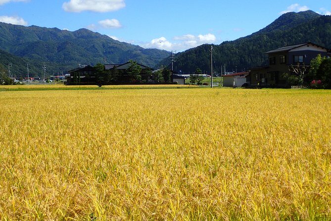 Private-group Morning Cycling Tour in Hida-Furukawa - The Village-to-Farmland Flow: Old Town to Satoyama