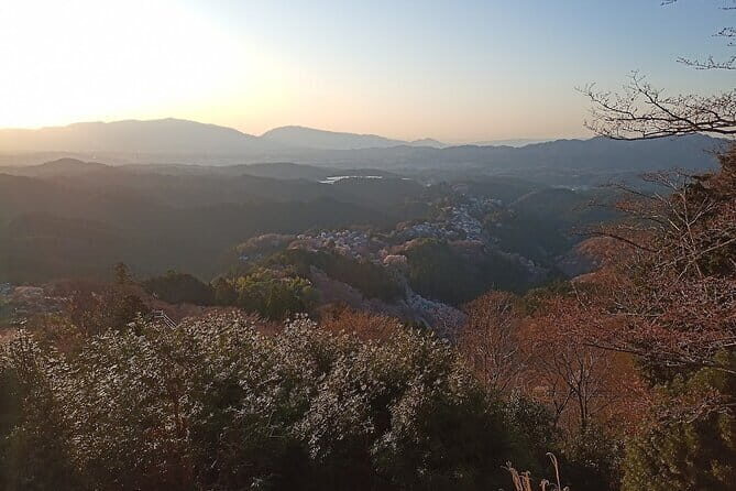Private Guided Half-Day Walking Tour in Yoshinoyama - Where Yoshinoyama’s Shugendo route starts to make sense
