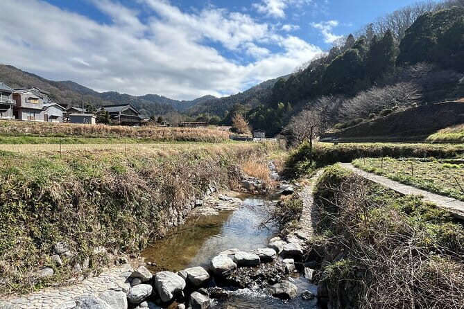 Private Guided Half-Day Walking Tour in Yoshinoyama - Price and value: what $99.76 per person buys you