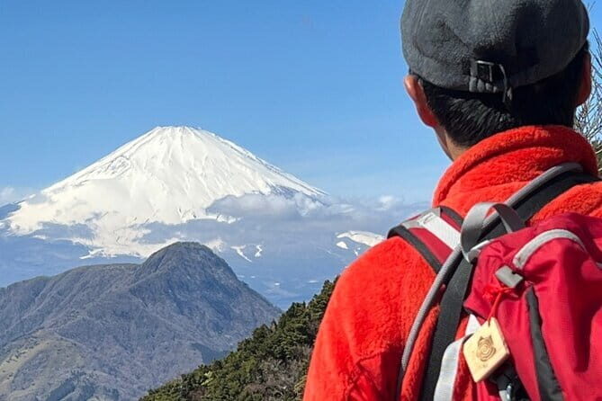 Private Hakone Half-day Car Tour with Hotel Pickup - Local Guide - What the day feels like in real life (pace, photo time, and logistics)