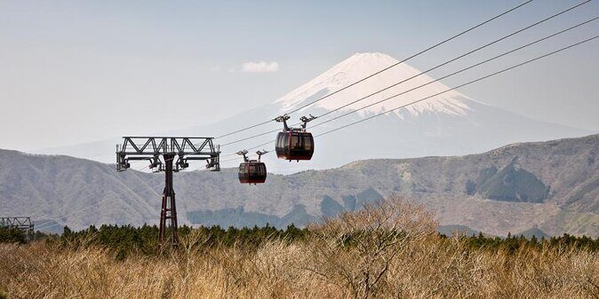 Private Hakone Tour - View of Mt. Fuji, Nature and Culture - Quick hits before you go