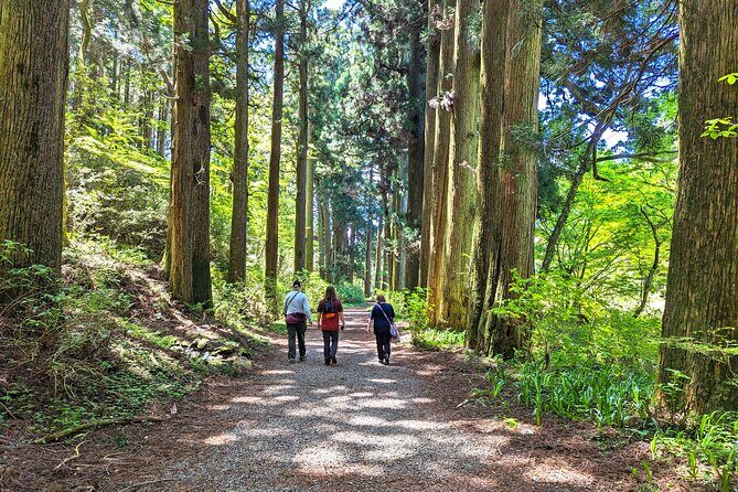 Private Hakone Tour - View of Mt. Fuji, Nature and Culture - Pickup to Odawara: How the Morning Actually Works