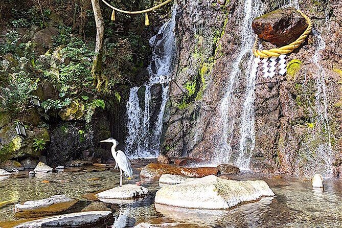 Private Hakone Tour - View of Mt. Fuji, Nature and Culture - Lake Ashi Cruise + Ropeway: Getting Fuji Views Twice