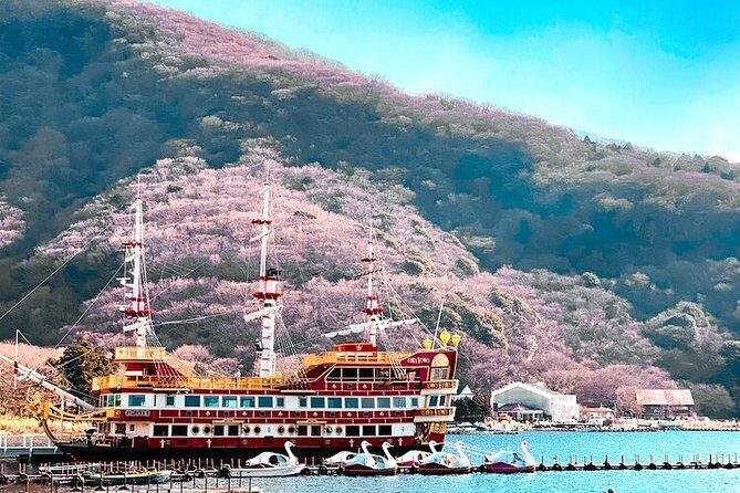 Private Hakone Tour - View of Mt. Fuji, Nature and Culture - Open-Air Museum or Onsen: Your Hakone Reset